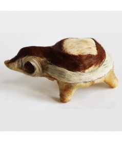 Jolie tortue os et poils de chameau profil