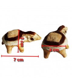 Jolie tortue os et poils de chameau dimensions