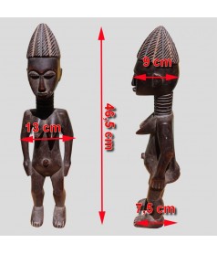 Fecondite Koulango dimensions
