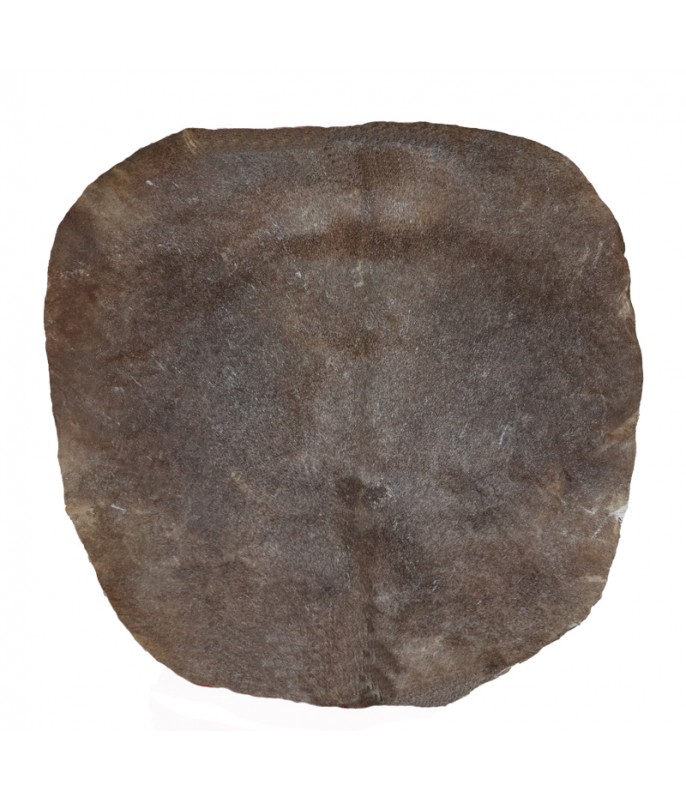 Peau de chevre pour djembe